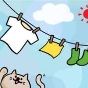 ヒメ日記 2025/07/29 08:25 投稿 ゆきの 横浜おかあさん