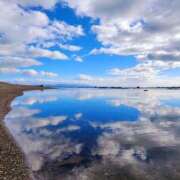 ヒメ日記 2025/08/04 06:35 投稿 ゆきの 横浜おかあさん