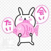 ヒメ日記 2025/08/10 07:47 投稿 ゆきの 横浜おかあさん