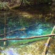 ヒメ日記 2025/08/15 19:05 投稿 ゆきの 横浜おかあさん