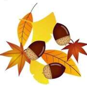 ヒメ日記 2025/09/14 07:25 投稿 ゆきの 横浜おかあさん