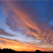 ヒメ日記 2025/09/18 07:15 投稿 ゆきの 横浜おかあさん