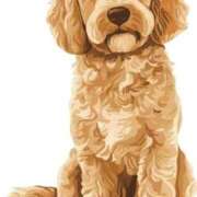 ヒメ日記 2025/09/23 18:55 投稿 ゆきの 横浜おかあさん