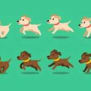 ヒメ日記 2025/10/02 09:21 投稿 ゆきの 横浜おかあさん