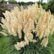 ヒメ日記 2025/10/04 06:42 投稿 ゆきの 横浜おかあさん