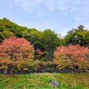 ヒメ日記 2025/10/19 18:35 投稿 ゆきの 横浜おかあさん