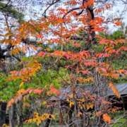 ヒメ日記 2025/10/24 06:55 投稿 ゆきの 横浜おかあさん