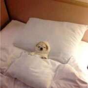 ヒメ日記 2025/10/26 07:25 投稿 ゆきの 横浜おかあさん