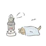 ヒメ日記 2025/10/29 17:45 投稿 ゆきの 横浜おかあさん