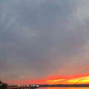 ヒメ日記 2025/11/03 18:35 投稿 ゆきの 横浜おかあさん