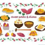 ヒメ日記 2025/11/04 06:35 投稿 ゆきの 横浜おかあさん