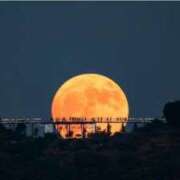 ヒメ日記 2025/11/05 18:35 投稿 ゆきの 横浜おかあさん