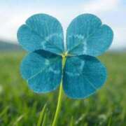 ヒメ日記 2025/11/10 07:05 投稿 ゆきの 横浜おかあさん