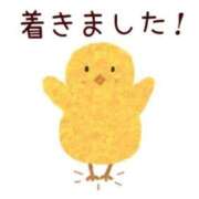 ヒメ日記 2025/11/10 09:31 投稿 ゆきの 横浜おかあさん