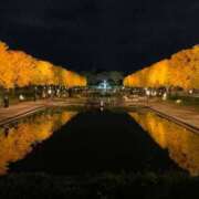 ヒメ日記 2025/11/16 18:39 投稿 ゆきの 横浜おかあさん