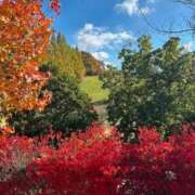 ヒメ日記 2025/11/30 08:05 投稿 ゆきの 横浜おかあさん