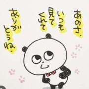 ヒメ日記 2025/12/02 06:55 投稿 ゆきの 横浜おかあさん