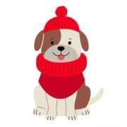 ヒメ日記 2025/12/04 06:55 投稿 ゆきの 横浜おかあさん