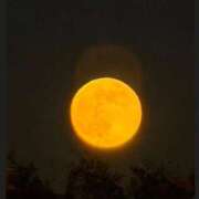 ヒメ日記 2025/12/05 21:25 投稿 ゆきの 横浜おかあさん