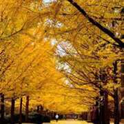 ヒメ日記 2025/12/15 07:00 投稿 ゆきの 横浜おかあさん