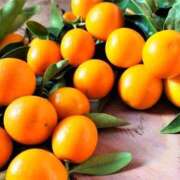 ヒメ日記 2026/01/13 18:45 投稿 ゆきの 横浜おかあさん