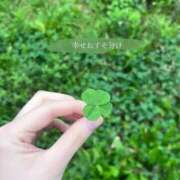 ヒメ日記 2026/01/29 06:45 投稿 ゆきの 横浜おかあさん