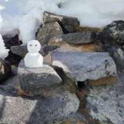 ヒメ日記 2026/02/08 07:05 投稿 ゆきの 横浜おかあさん