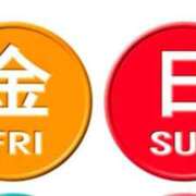 ヒメ日記 2026/02/19 08:07 投稿 ゆきの 横浜おかあさん