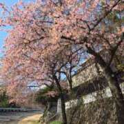 ヒメ日記 2026/02/25 07:25 投稿 ゆきの 横浜おかあさん