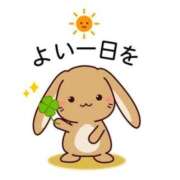 ヒメ日記 2026/03/08 09:05 投稿 ゆきの 横浜おかあさん