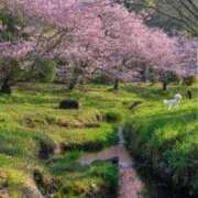 ヒメ日記 2026/03/08 18:07 投稿 ゆきの 横浜おかあさん