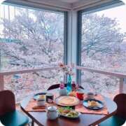 ヒメ日記 2026/03/26 08:12 投稿 ゆきの 横浜おかあさん