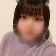 ヒメ日記 2025/02/21 16:23 投稿 せいら 新橋たっち（シンデレラグループ）