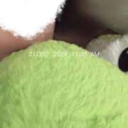 ヒメ日記 2024/12/21 12:02 投稿 すずか 愛知弥富ちゃんこ