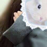 ヒメ日記 2025/01/27 11:31 投稿 すずか 愛知弥富ちゃんこ