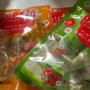 ヒメ日記 2025/03/11 17:41 投稿 すずか 愛知弥富ちゃんこ