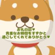 ヒメ日記 2025/03/19 18:31 投稿 すずか 愛知弥富ちゃんこ