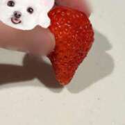 ヒメ日記 2025/04/29 09:47 投稿 すずか 愛知弥富ちゃんこ