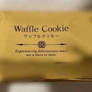 ヒメ日記 2025/06/19 18:51 投稿 すずか 愛知弥富ちゃんこ