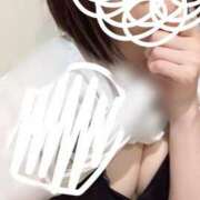 ヒメ日記 2025/07/22 22:51 投稿 すずか 愛知弥富ちゃんこ