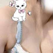 ヒメ日記 2025/07/23 14:21 投稿 すずか 愛知弥富ちゃんこ