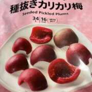 ヒメ日記 2025/09/14 18:41 投稿 すずか 愛知弥富ちゃんこ