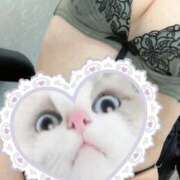 ヒメ日記 2025/10/13 19:41 投稿 すずか 愛知弥富ちゃんこ