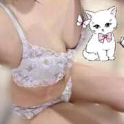 ヒメ日記 2025/11/20 11:26 投稿 すずか 愛知弥富ちゃんこ