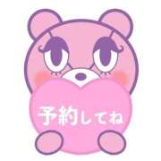 ヒメ日記 2025/11/20 14:21 投稿 すずか 愛知弥富ちゃんこ