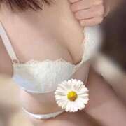 ヒメ日記 2026/02/05 20:34 投稿 すずか 愛知弥富ちゃんこ