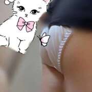 ヒメ日記 2026/03/06 11:41 投稿 すずか 愛知弥富ちゃんこ