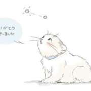 ヒメ日記 2026/03/09 17:57 投稿 すずか 愛知弥富ちゃんこ