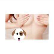 ヒメ日記 2024/12/29 20:17 投稿 ひまり★極上癒やし度◎ご奉仕美女 ViVi-ヴィヴィ-(金津園)