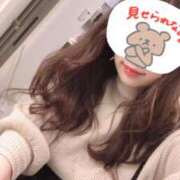 ヒメ日記 2026/03/10 08:47 投稿 ひまり★極上癒やし度◎ご奉仕美女 ViVi-ヴィヴィ-(金津園)